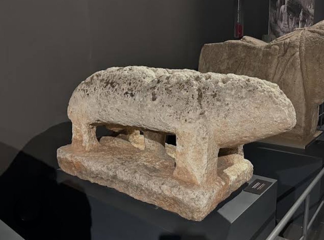 Kutlu Cihan 🌍🌕 tweet media