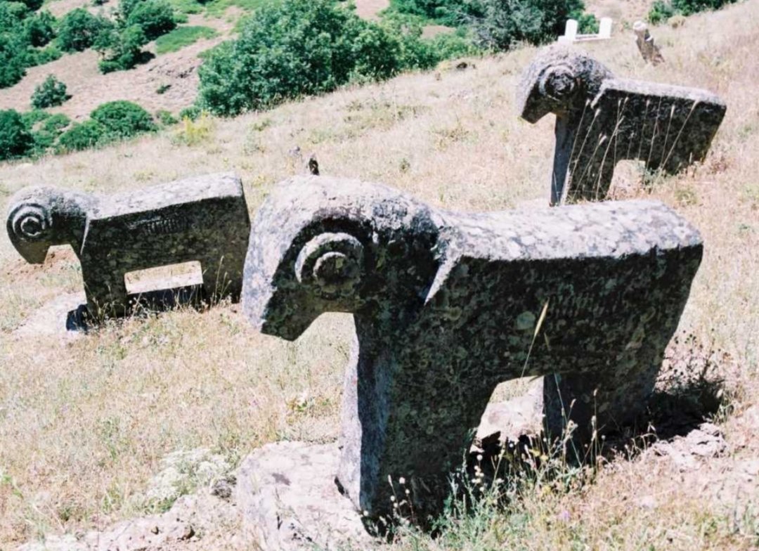 Kutlu Cihan 🌍🌕 tweet media