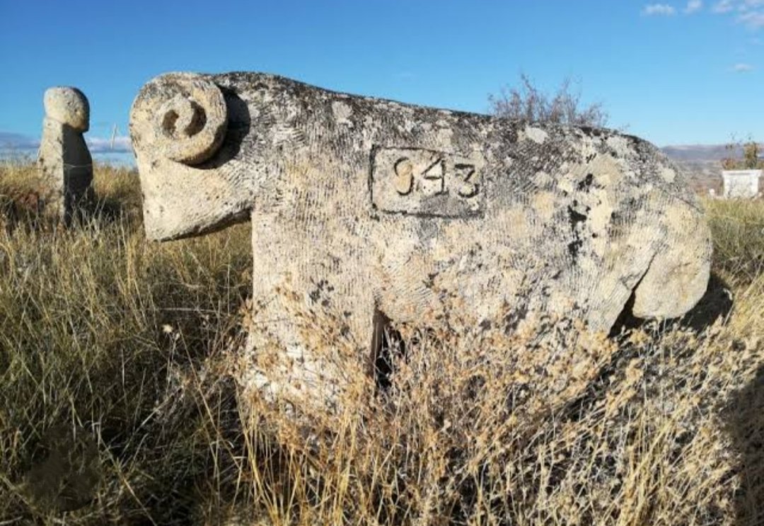 Kutlu Cihan 🌍🌕 tweet media