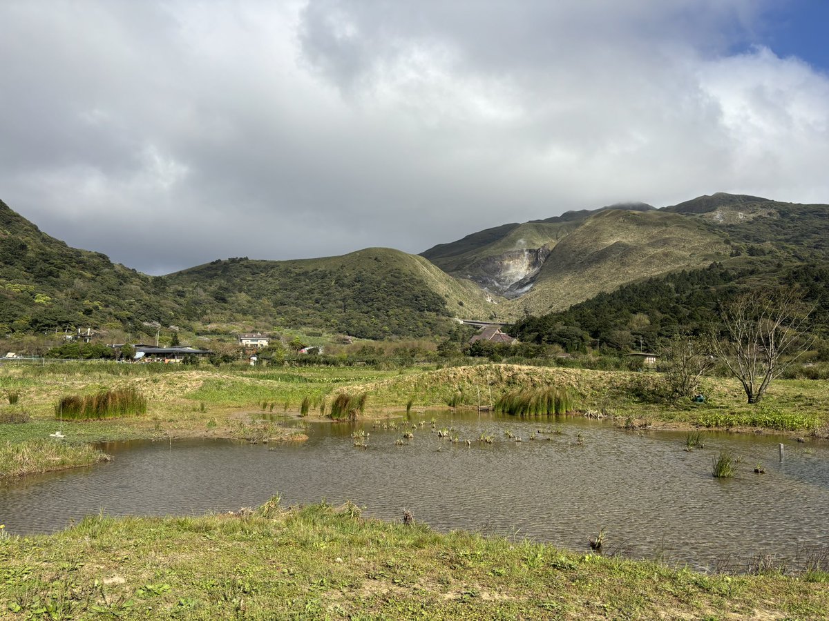 Yian Lee 李易安 tweet media