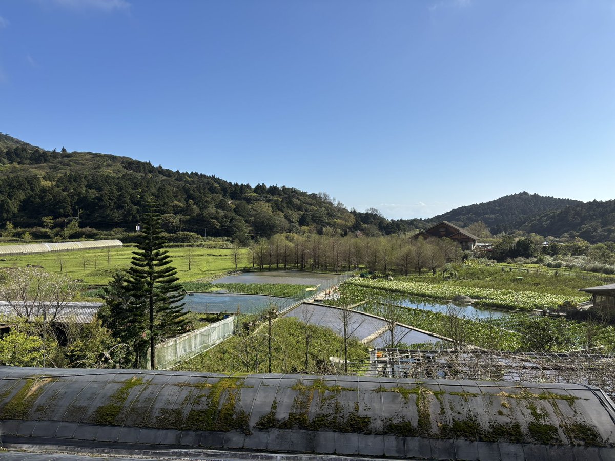 Yian Lee 李易安 tweet media