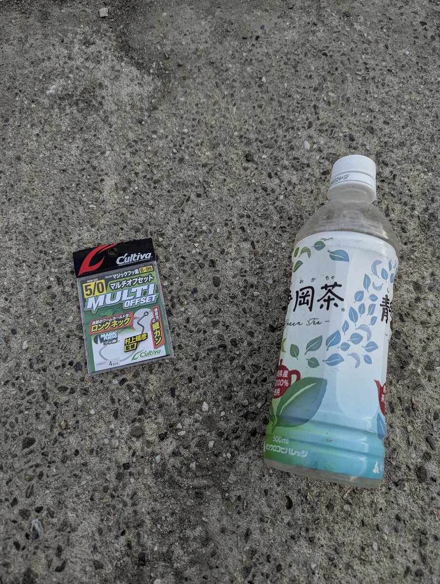 ニッポンバスヅリニンゲンモドキへ

ごみは持って帰りましょう。