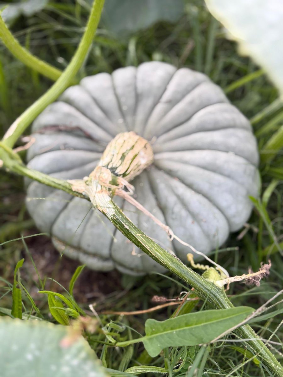 Jimmy Barnes tweet media