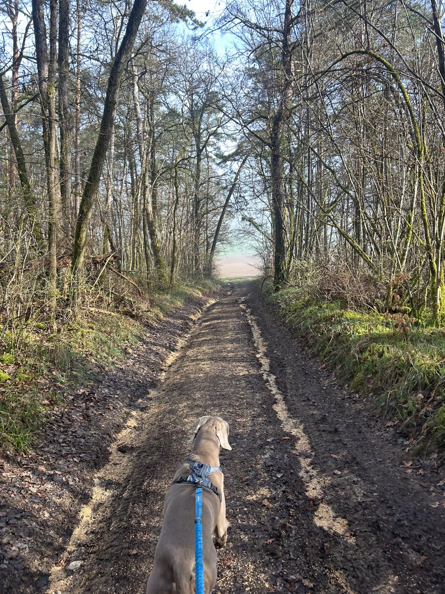 Emmanuel BONNIN tweet media