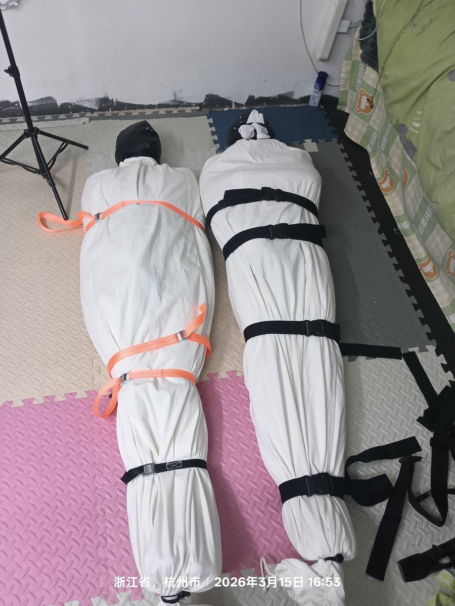 丰丰的喵 tweet media