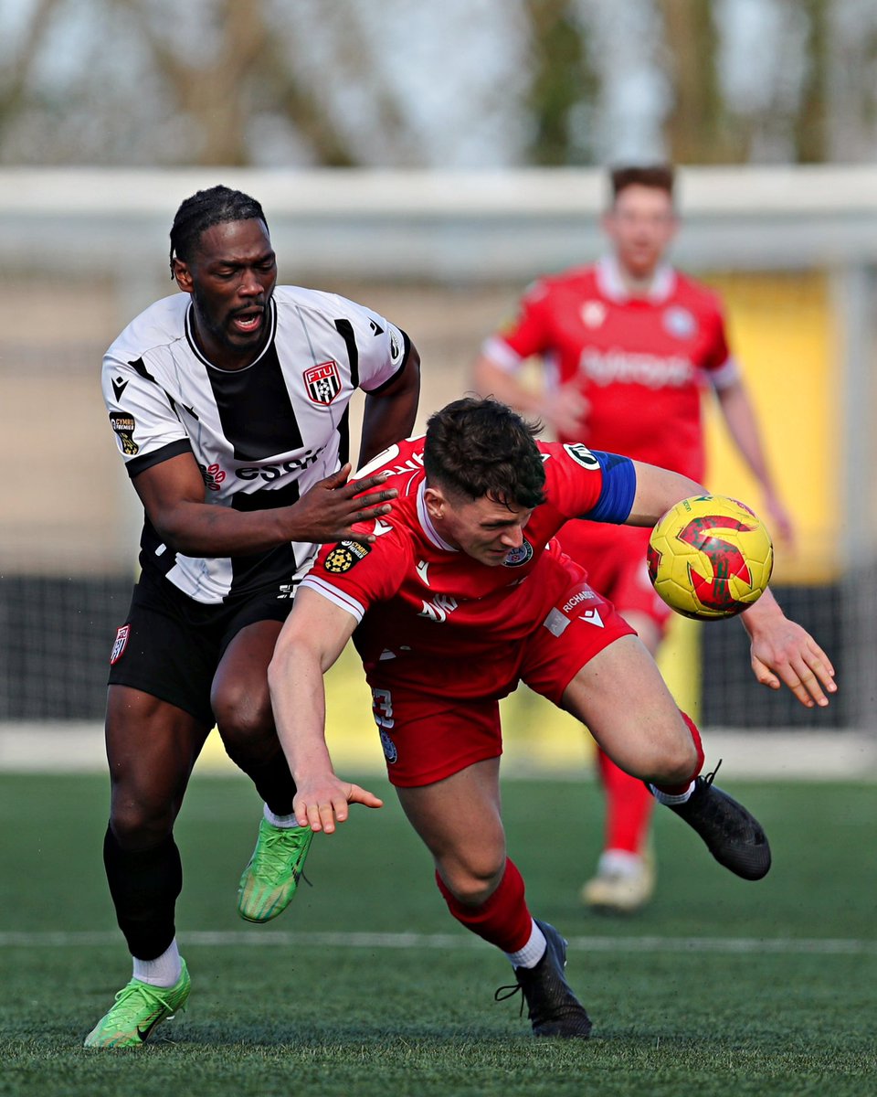 Eado (photo) tweet media