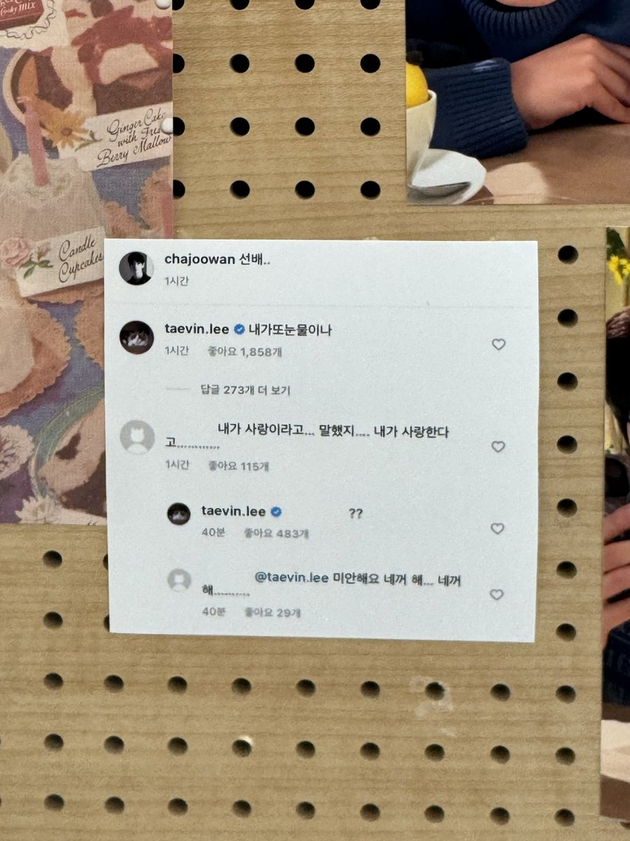 세로 tweet media