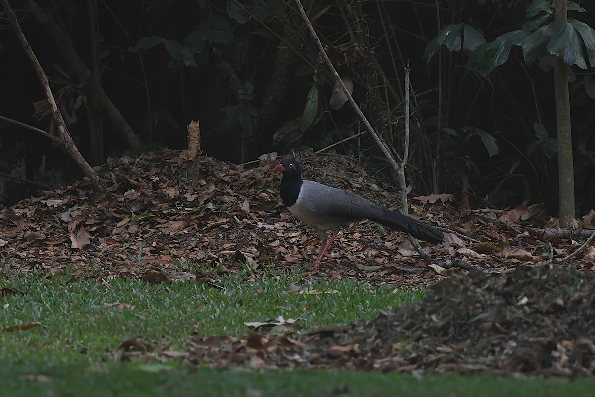 Greg Heath tweet media