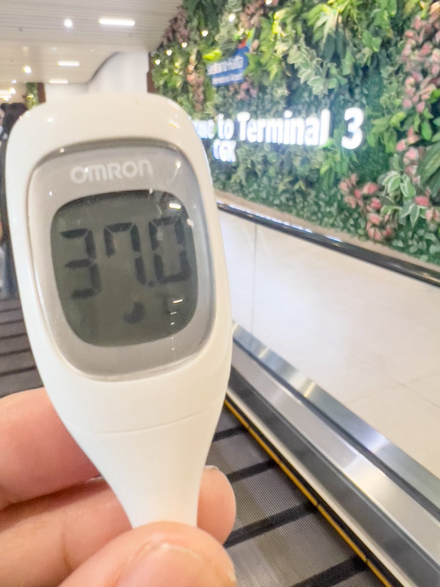 mistbahn tweet media