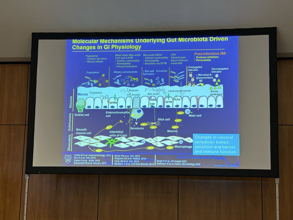 GutMicrobiota Health tweet media