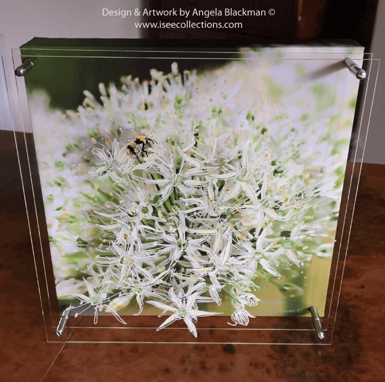 iSeeCollections by Angela tweet media