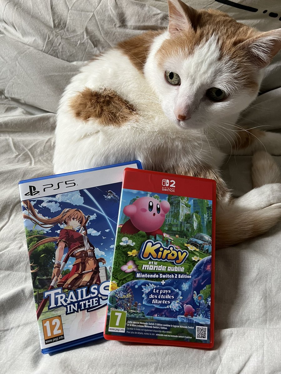 ChoopsSunny tweet media