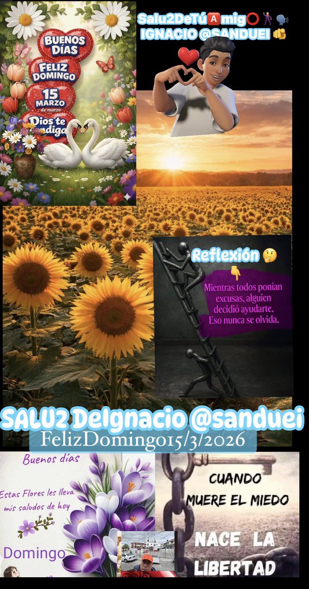 SANDUEI's tweet photo. 🏇☘️🌻¡¡H🅾️L🅰️‼️🌻☘️🏇
#MuchasFelicidades
#FelizDoming💝
1️⃣5️⃣M🅰️RZ⭕️2️⃣🅾️2️⃣6️⃣
⏺REFLEXI🅾️N:
🔶#MIENTR🅰️S
🔷#Tod@S
🔶#P⭕️NI🅰️N
🔷#EXCUS🅰️S #ALGUIEN
🔸#DECIDIO #🅰️YUDARTE
#EsoN⭕️se⭕️LVIDA
#DisfrutaTúDía
*¡¡#VaQuéVa!!* !Vamos!
🕺Y💃🏻AL💯% #ISD2026
🤗🤝🦾de❤️ https://t.co/42qwD3ek7O