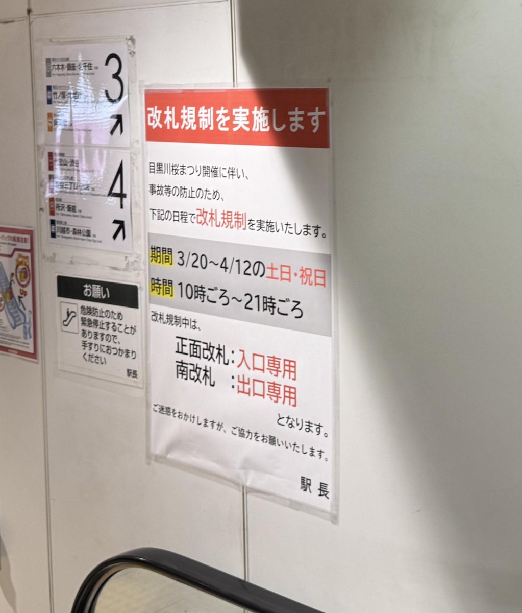 （元）プロ・ビーラー tweet media