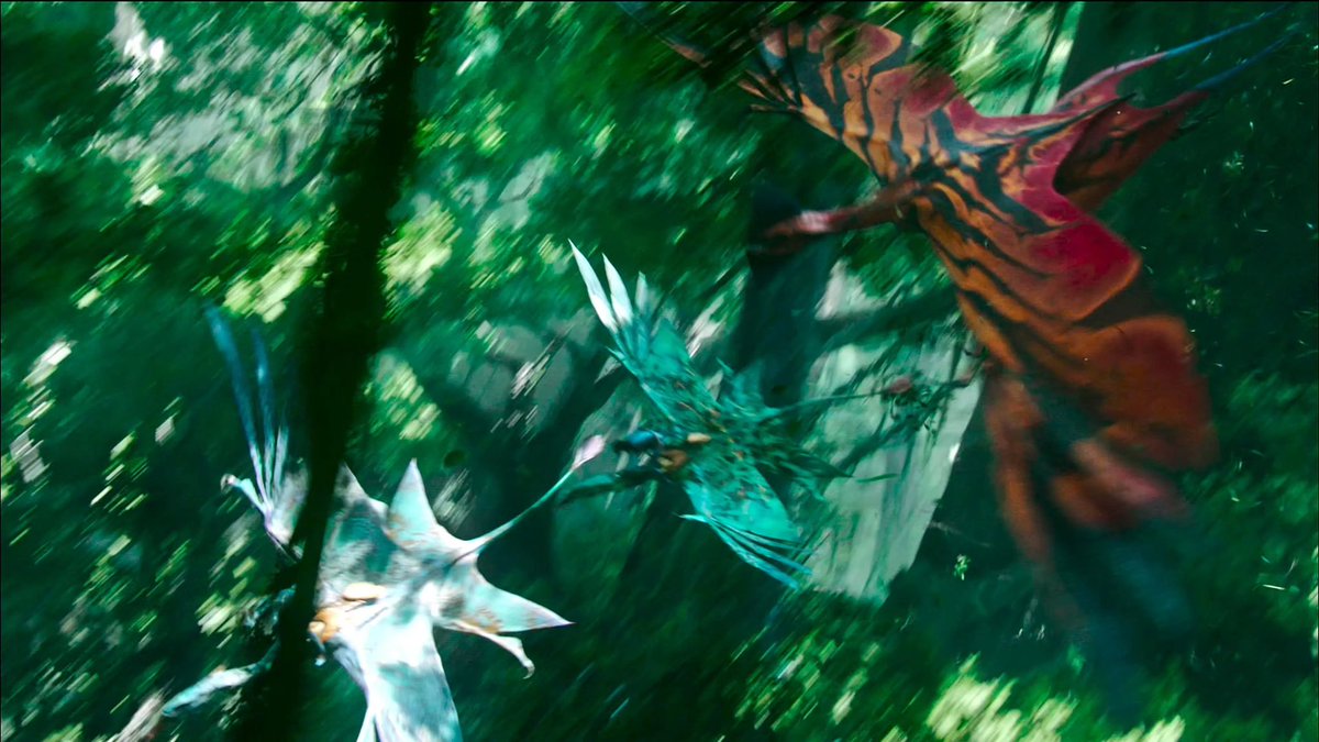 avatarbestof's tweet photo. toruk https://t.co/GaOY4DqjUu