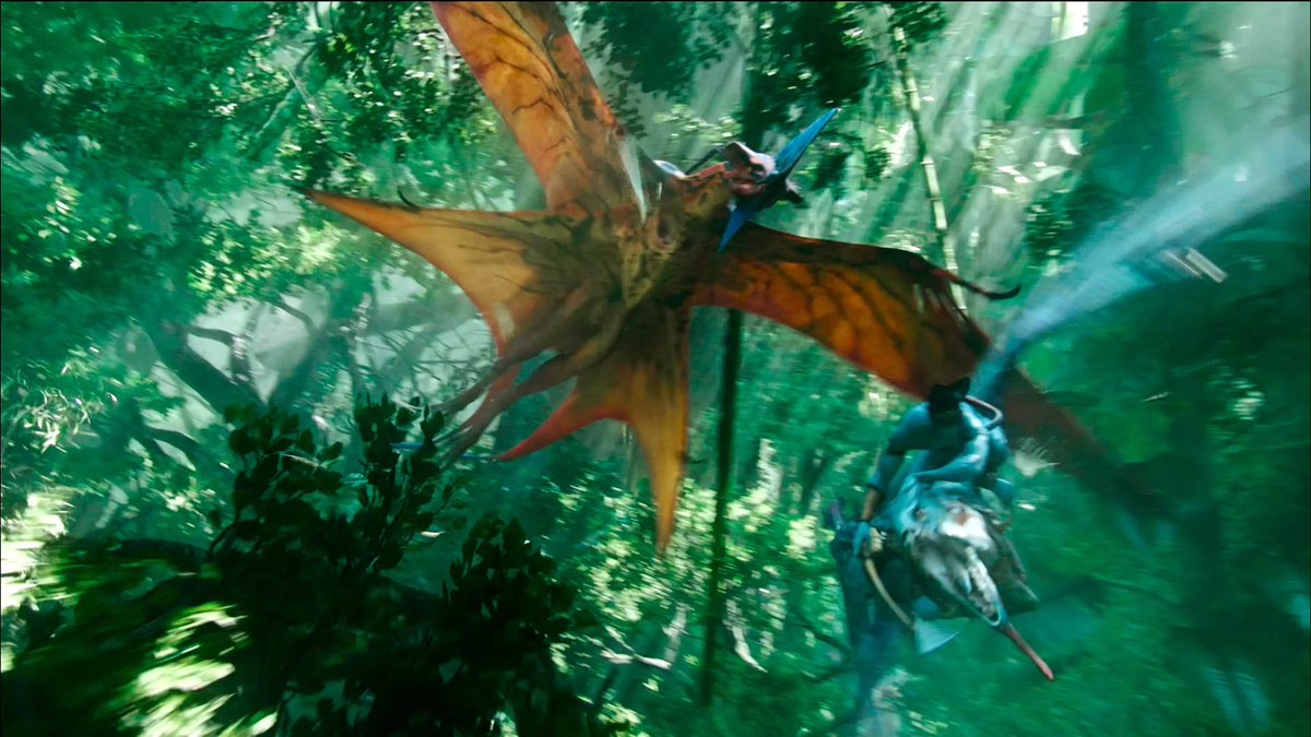 avatarbestof's tweet photo. toruk https://t.co/GaOY4DqjUu