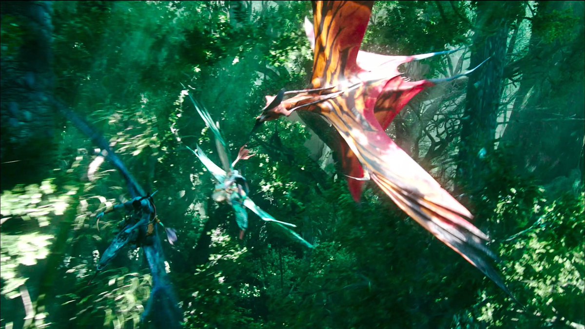 avatarbestof's tweet photo. toruk https://t.co/GaOY4DqjUu