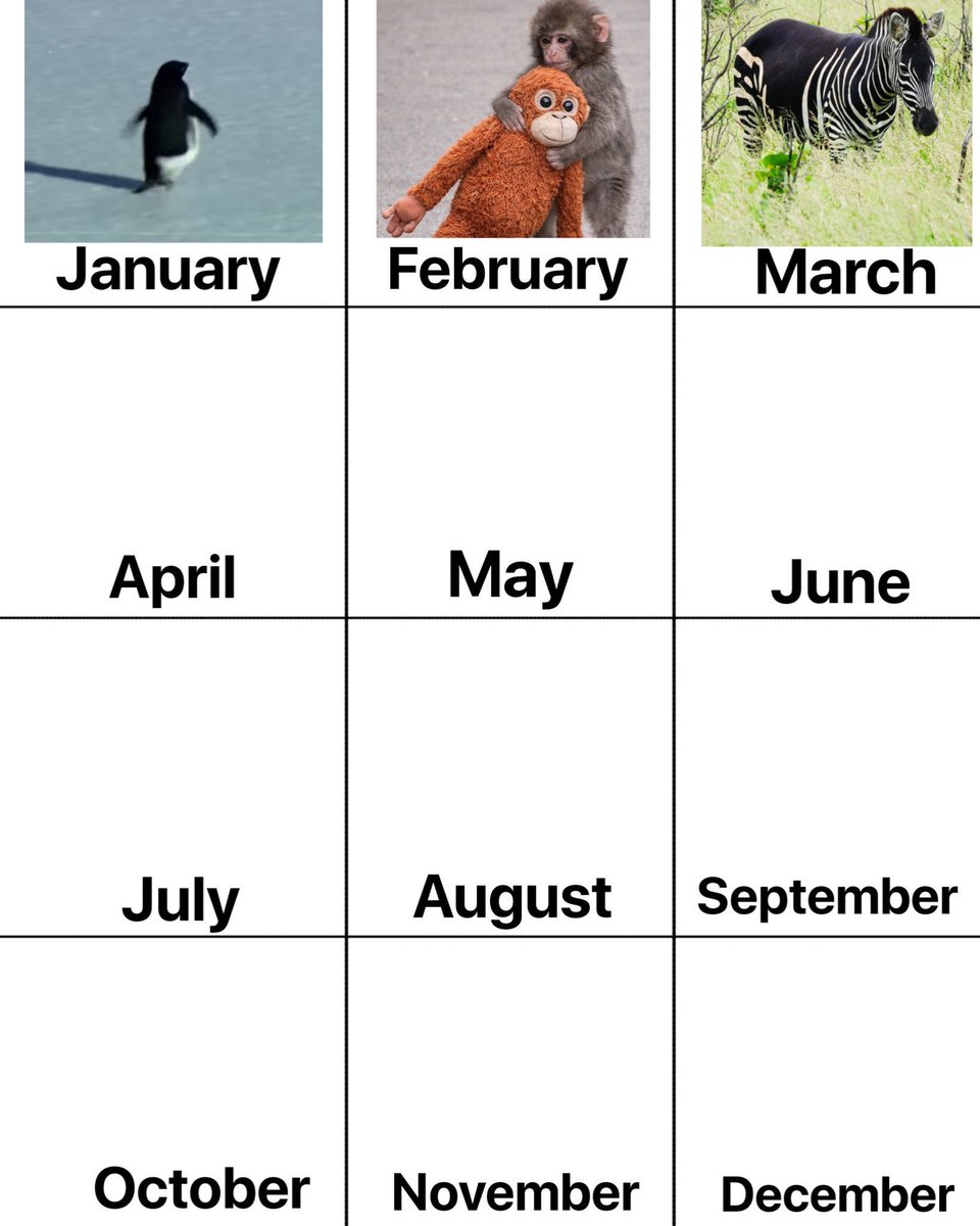 ₿lessed 𓃵 tweet media