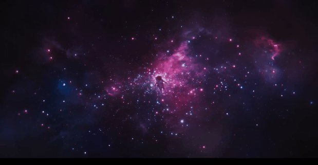 Whitney Allbright tweet media