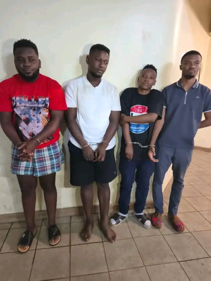 Canal〽️w👑🇲🇼🇿🇦🇿🇲 tweet media