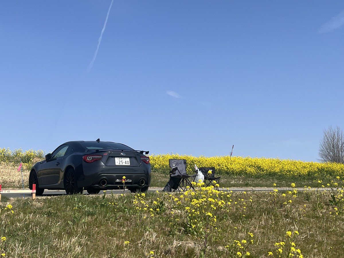 BRZと菜の花🌼