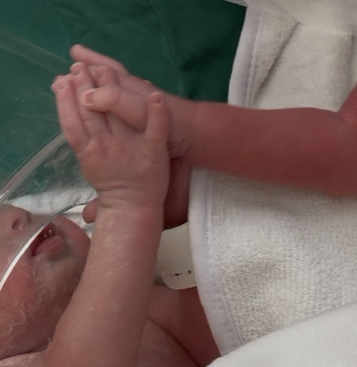 Dr.ParisaTaherzadeh tweet media