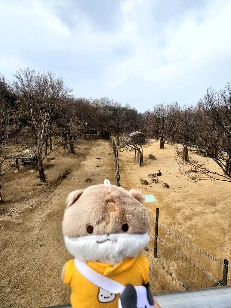 글월.•ᰔᩚ tweet media