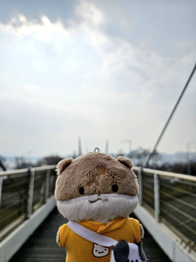 글월.•ᰔᩚ tweet media