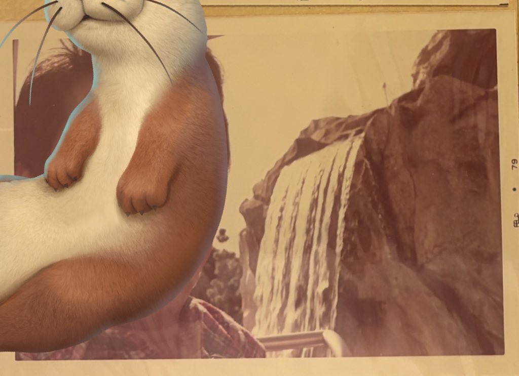 ✧YORi✧✈︎5月アナハイム tweet media