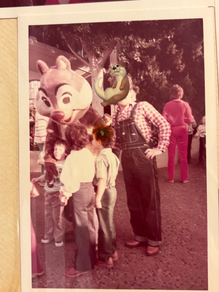 ✧YORi✧✈︎5月アナハイム tweet media