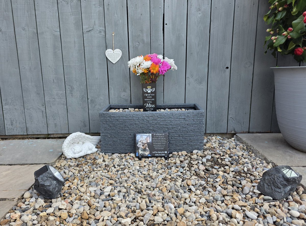 Chris Green tweet media