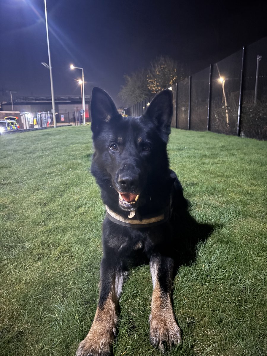 Mersey Police Dogs tweet media