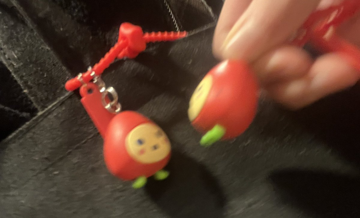 いぬすけさんに貰った‼️😻ばりちゃんとおそろ‼️