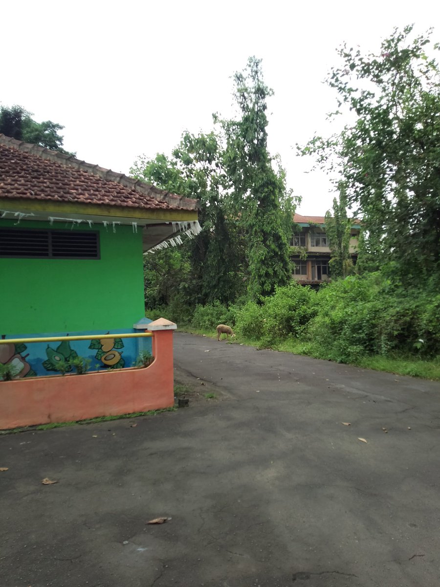 ~CintaSatu tweet media