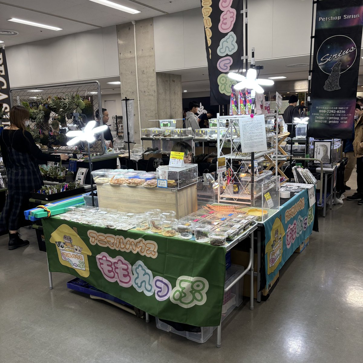 アニマルハウスももれっぷ　3月15日エキスポスーパーアリーナ出店 tweet media