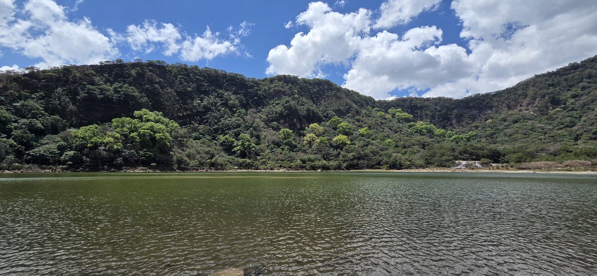 Jim Larvan tweet media