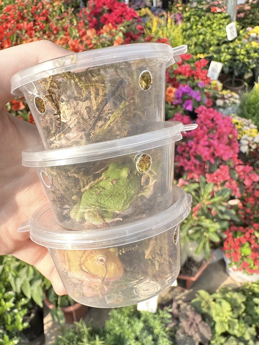 kk今天碎碎念了吗 tweet media