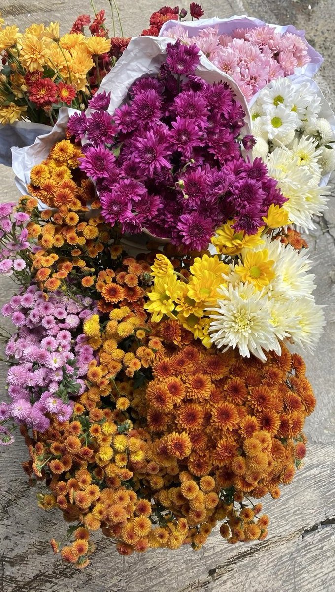 apakah kamu suka bunga?