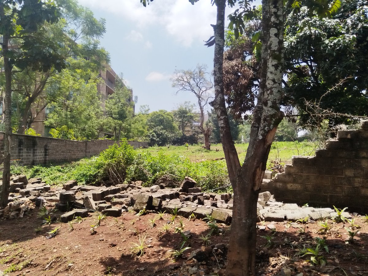 James Whistler tweet media