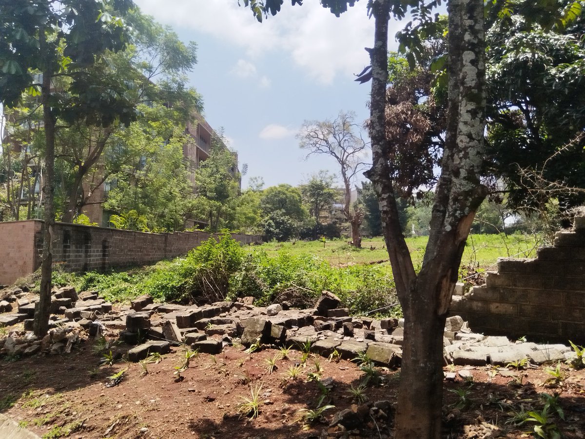 James Whistler tweet media