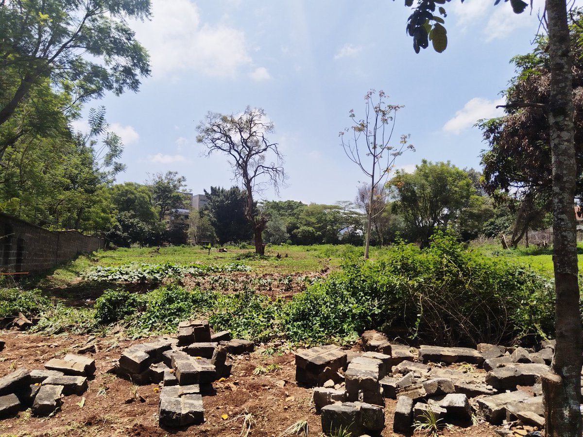 James Whistler tweet media