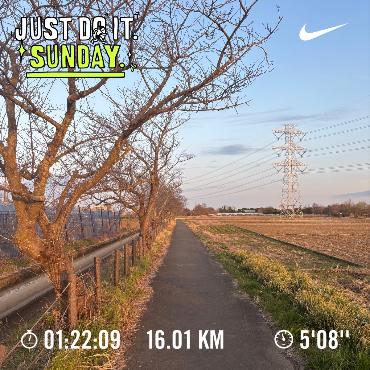 10マイルおジョグ

いつもと違う、初めての道を行く。
地元で道に迷うのは、なんだか楽しい。