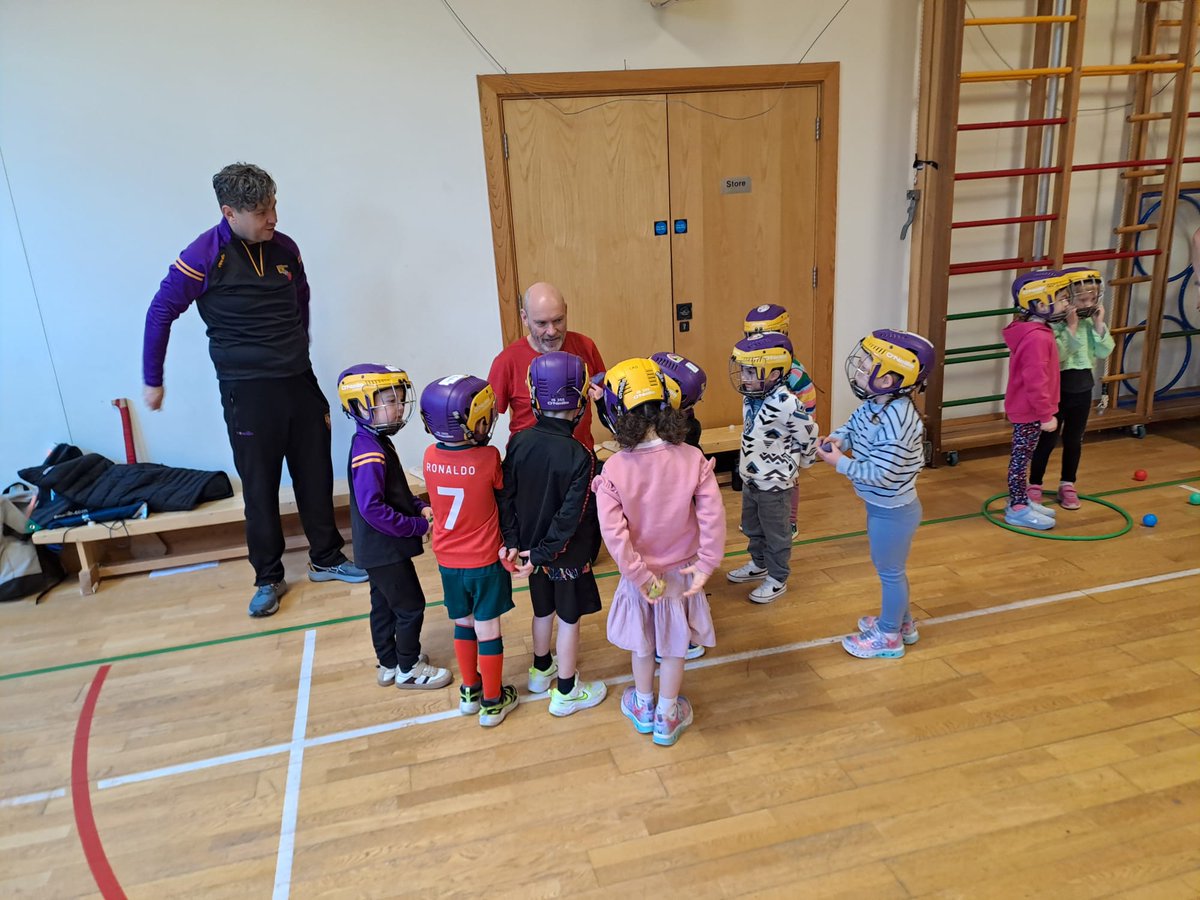 Carryduff GAC tweet media