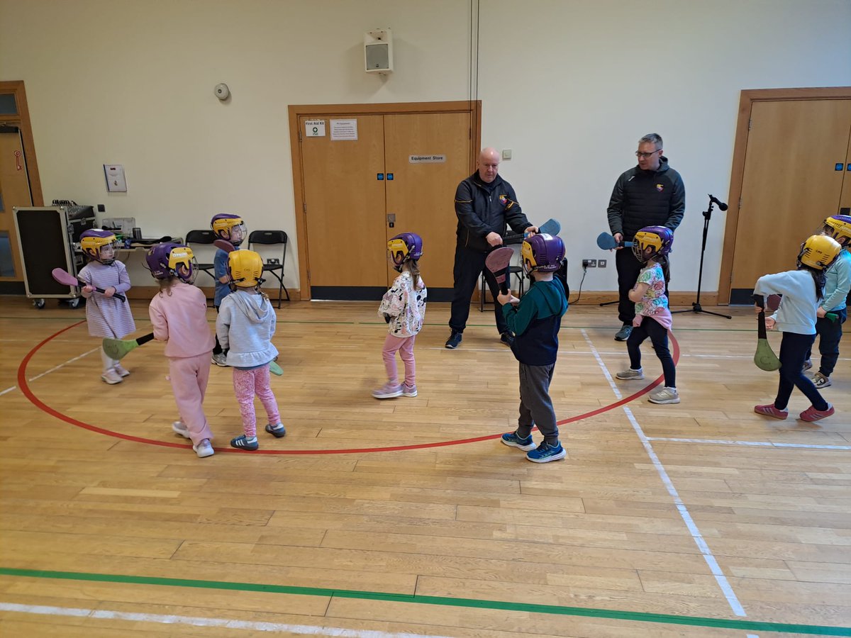 Carryduff GAC tweet media