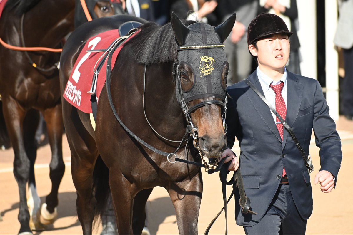 エジンバラ悔しい〜😖
#スプリングS
#アスクエジンバラ