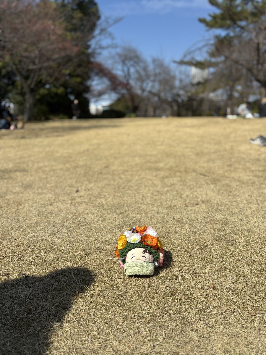 楽しいふわ会にさそわれて🌳の妖精さんも出てきました。