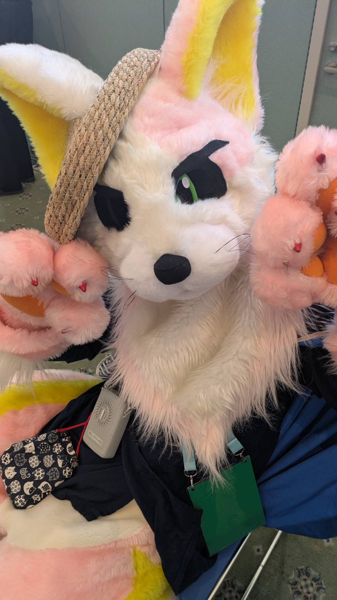 とっちー@ねこまる tweet media