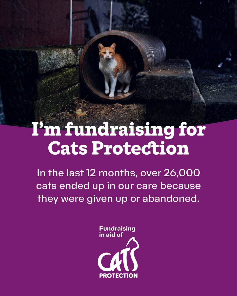 #5daygamers23 #5daygamers #charity #twitch #fundraising #StreamForCats justgiving.com/page/5daygamer…