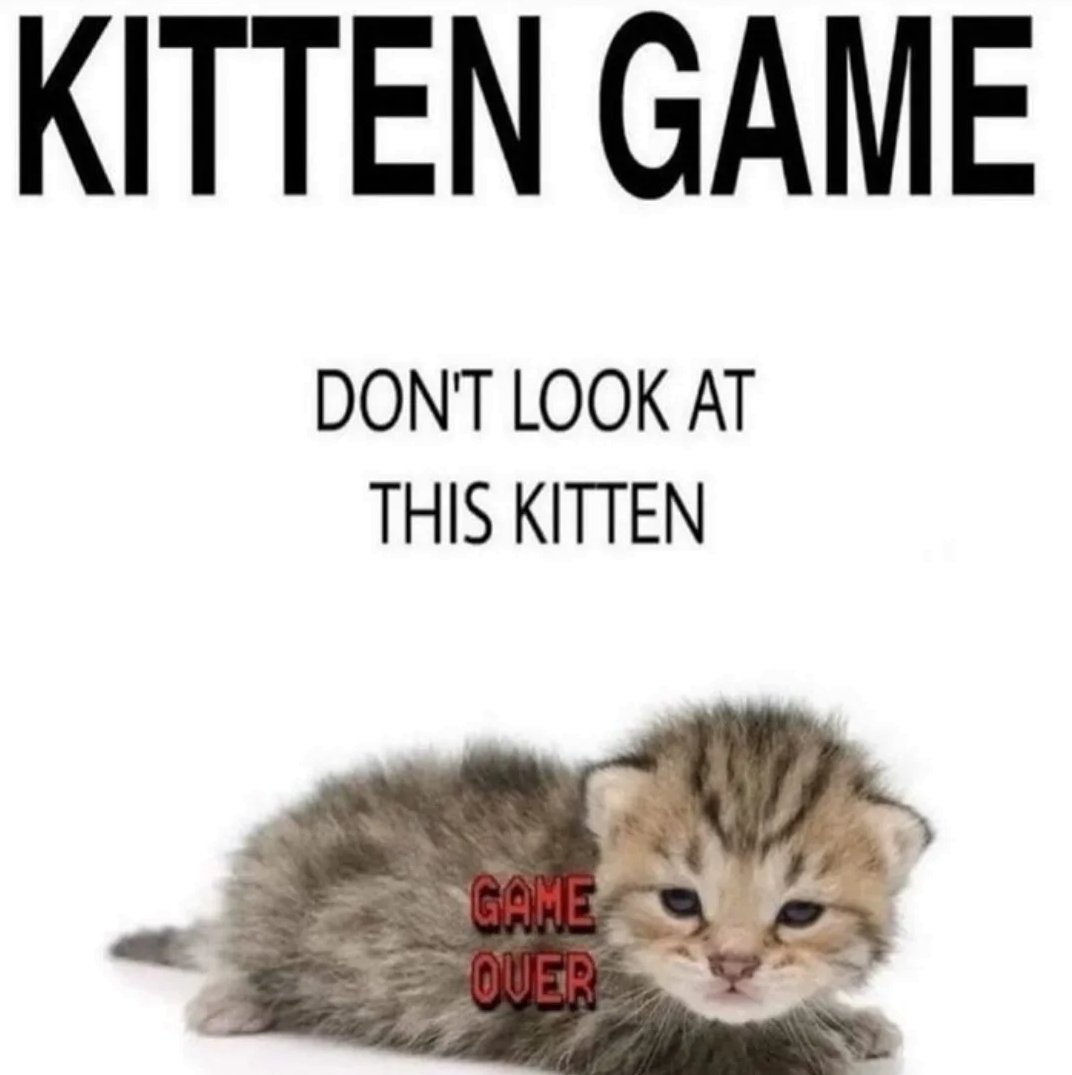 i drink soup tweet media