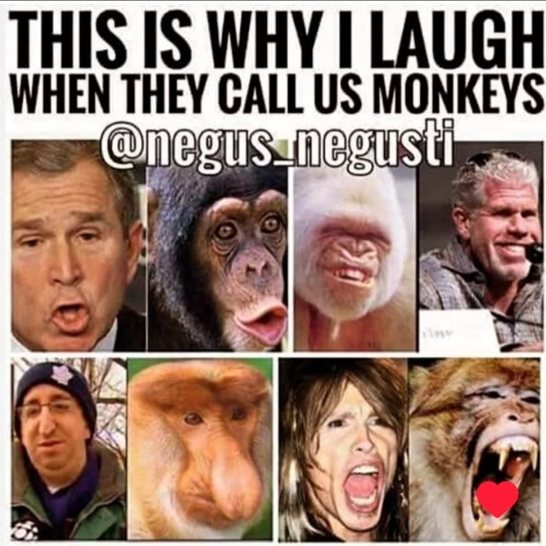 Tonya22776's tweet photo. @itskg223 @endracism001 Y’all look like monkeys😂you mad because wide back Bigfoot got her ass beat as she should had💯 https://t.co/gXjZSlna2l